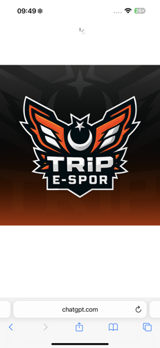 trip team logo