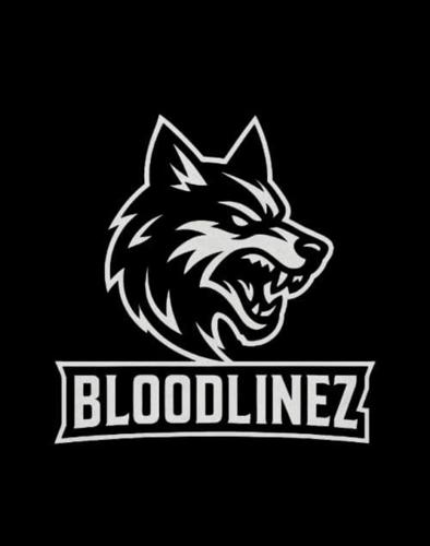 BLOODLİNEZ ESPORT logo