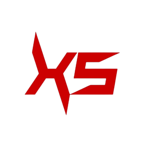 XSlay Esports logo