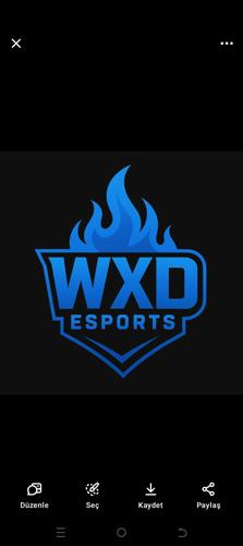 WXD-Esports logo