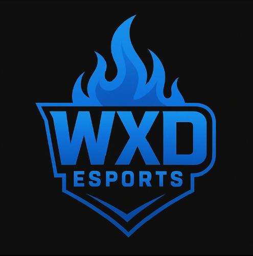 WXD-Esports logo