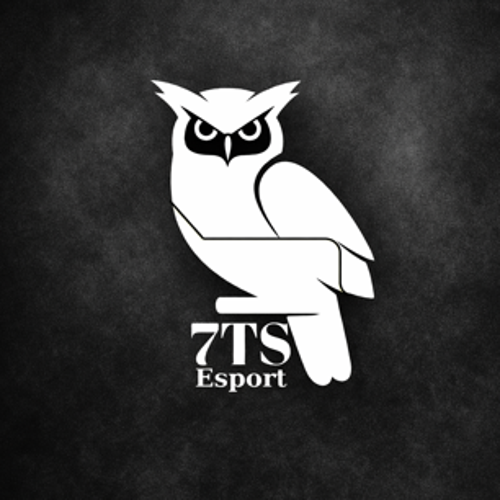 7 The Star Esport