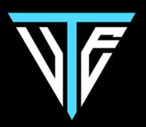 Veteran E-spor logo