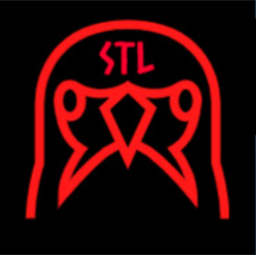STRUGGLE TO LİVE logo
