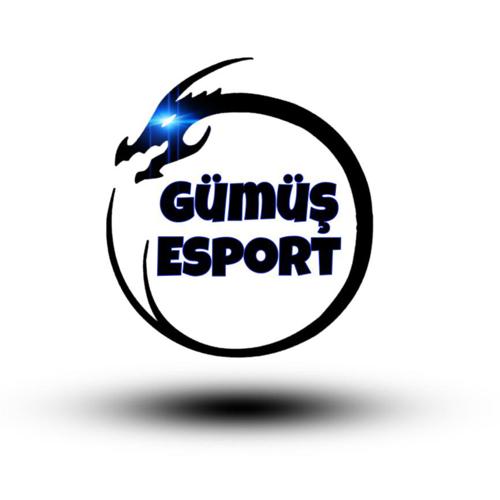 Gumus espor logo
