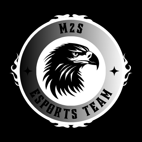 M2S ESPORTS logo