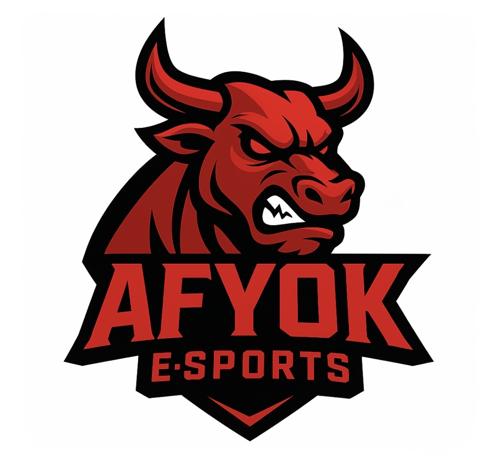 AFYOK E-SPORTS logo