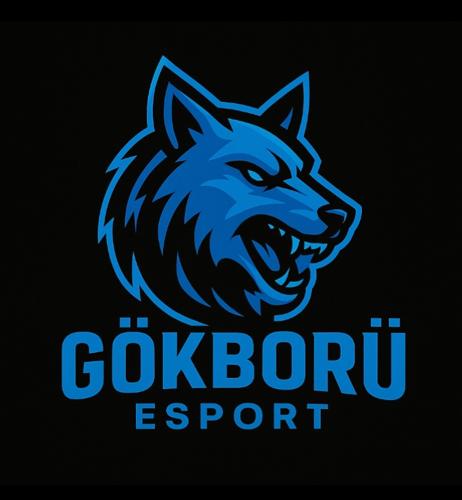 Gökbörü E-SPORT logo
