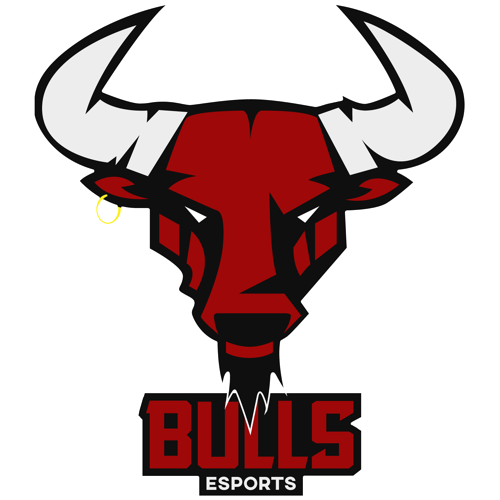 Bulls E-sports logo