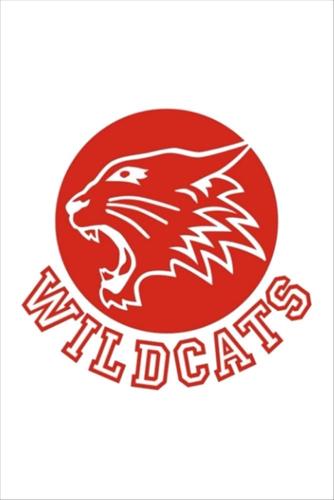 XLİNE R WİLDCASTT logo