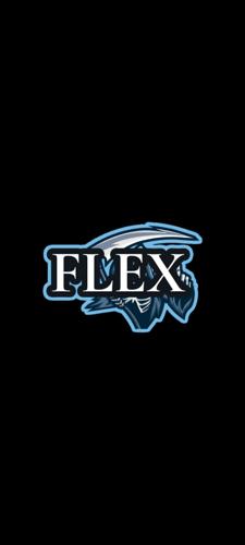 FLEX_34 logo