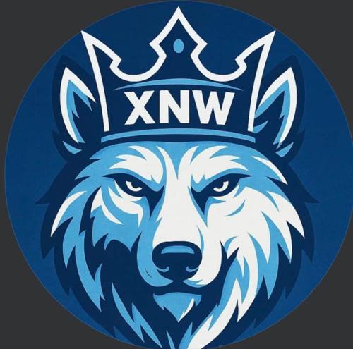 XNW E-SPORTS logo