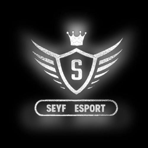 SEYF  E-SPOR logo