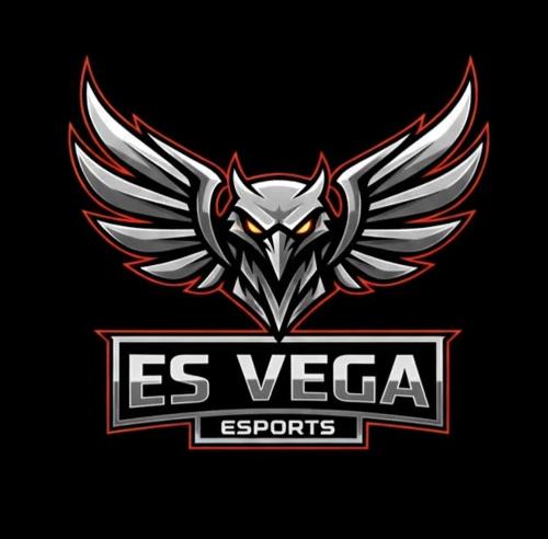 ESVEGAFLY E SPORT logo