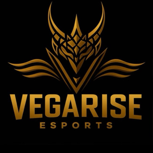 Vegarıse Esports