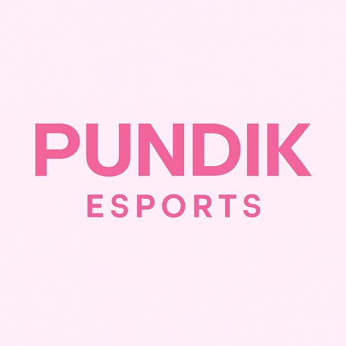 PUNDİK ESP logo