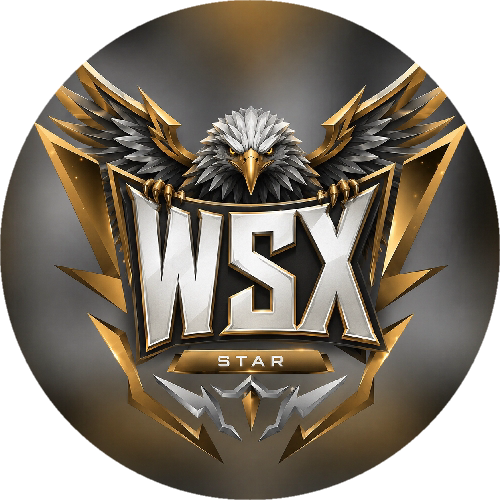 WSX ESPORTS.