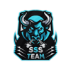 SSS TEAM logo