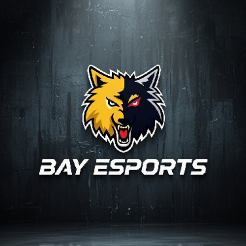 BAY ESPORTS logo