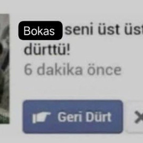 Orman kanunları
