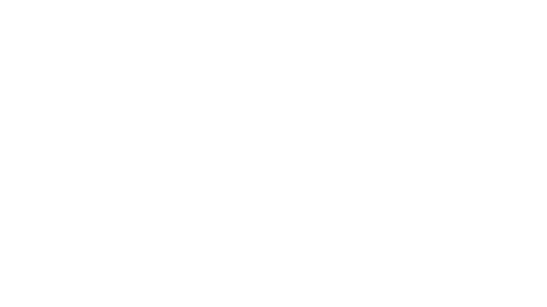 Seyhan Belediye Espor logo