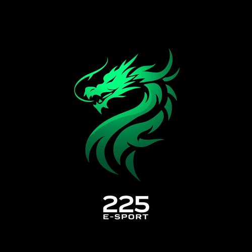 225 E´SPORTS logo