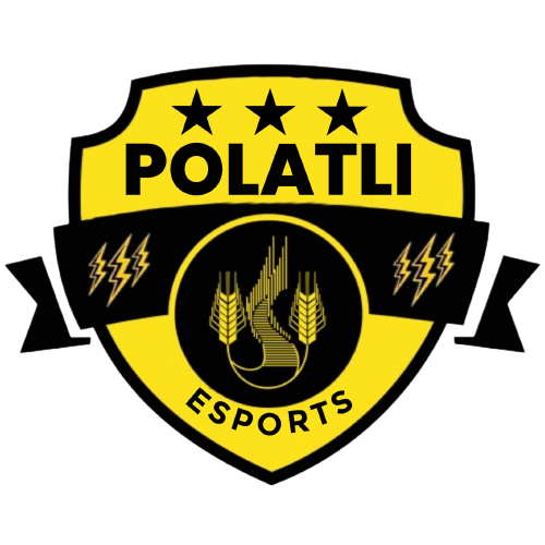 POLATLI ESPORTS logo