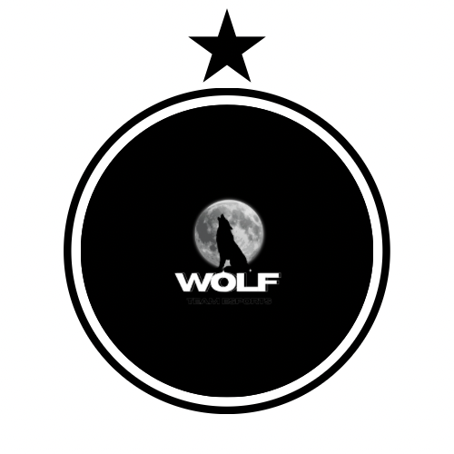 WOLF TEAM E-SPORTS logo
