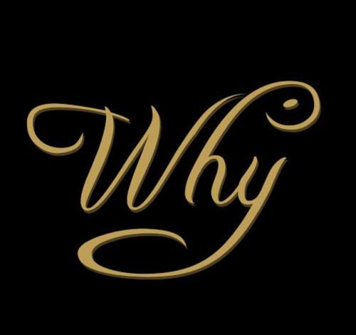 WhySoSeriouS logo
