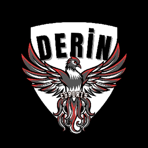 DERİN ESPORTS logo