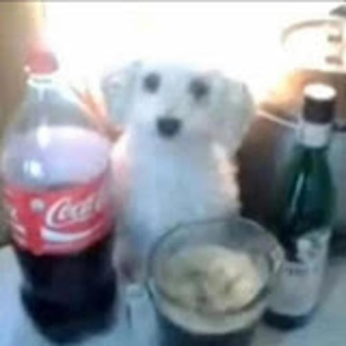 GTÜ ÇAKMA BLUE logo