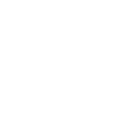Salvatores logo
