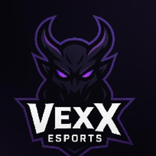 VexX Esporst logo