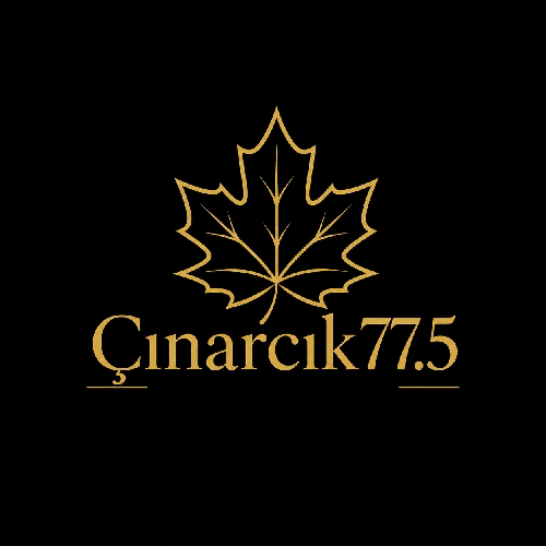 Çınarcık77