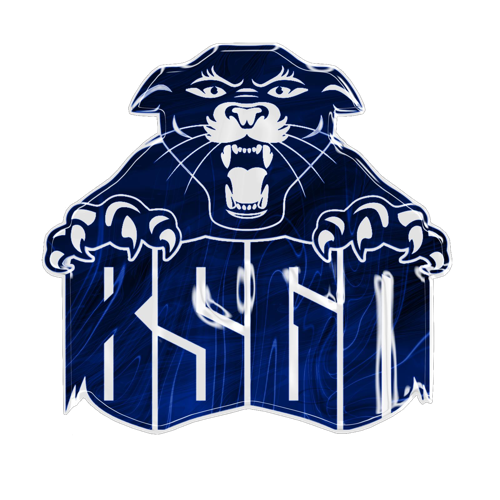 Başgan Esports