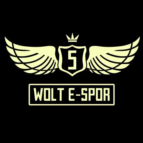 FİVE WOLT E-SPOR logo