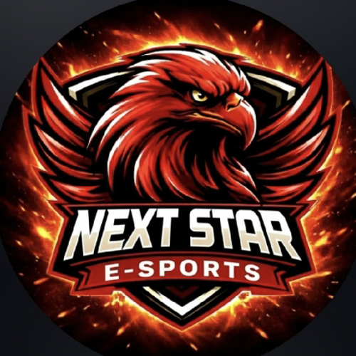 NEXT STAR E-SPORT