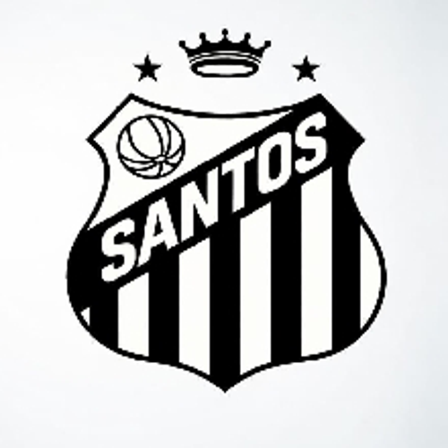 SANTOS ESPORTS