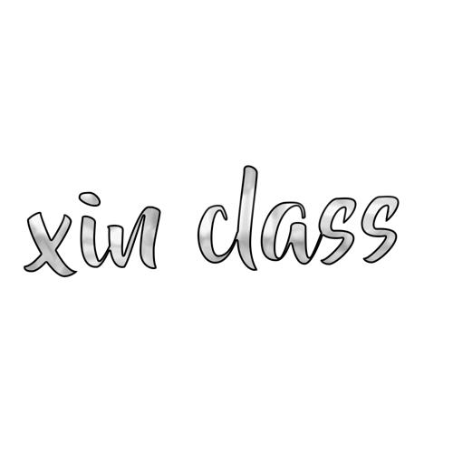 Xin Class logo