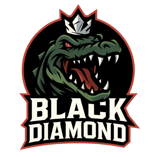 BLACK DİAMOND logo