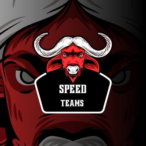 SPEED TEAMS logo
