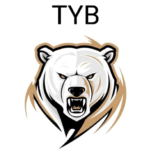 TEAM YOUNG BOYS logo