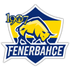 1907 Fenerbahçe Espor logo