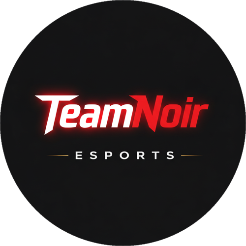 TeamNoir logo