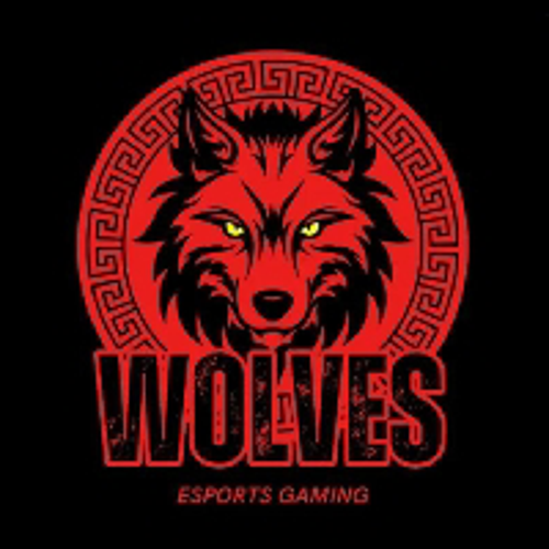 WOLVES TEAM E-SPORT