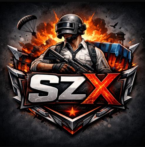SafeZoneX E-SPORTS