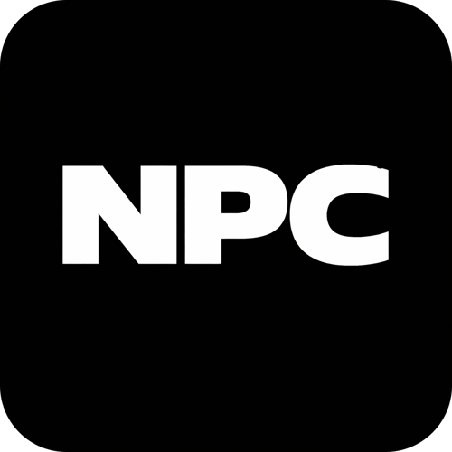 Non Player Character