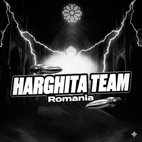 HarghitaTeam