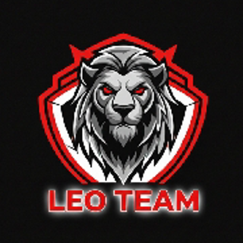 LEO丶TEAM