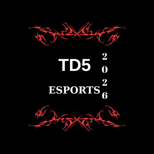 TD5 ESPORTS